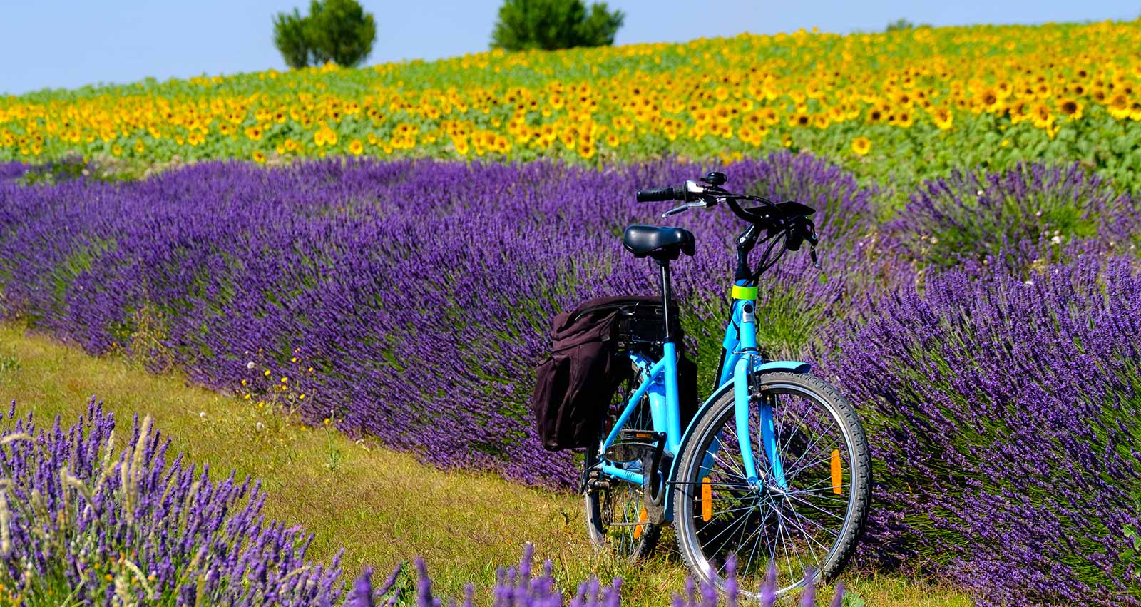 Bastides Hôtelières du Verdon